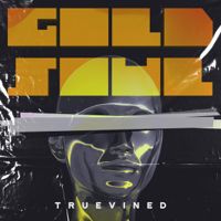 Gold Soul cover art