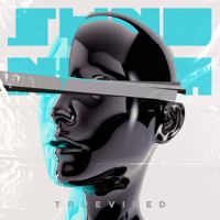 Synonym cover art